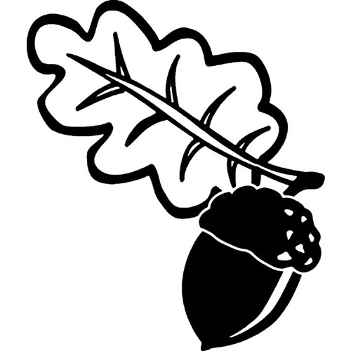 Acorn leaf unmounted - 'acorn,
