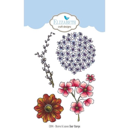 Elizabeth craft design - design, clear