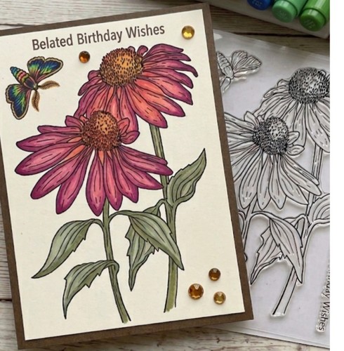 Clear stamp echinacea - x, 4"