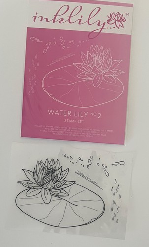 Ink lily foliage - lily, no