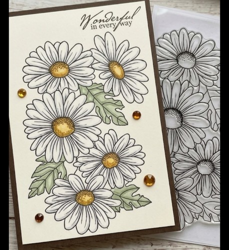 Clear stamp daisy - 6", 4"