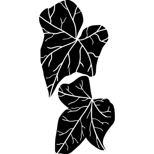 Ivy leaves unmounted rubber - leaves',