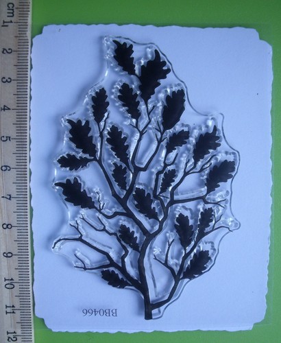 Oak leaf branch - leaf,