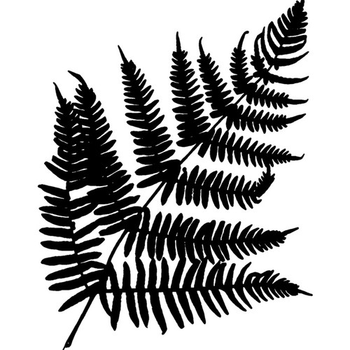 Fern leaf unmounted rubber - 'fern,