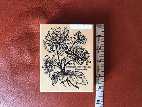 Large fsx chrysanthemum - large,