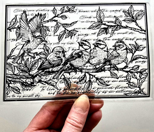 Clear stamps vintage - clear, bird