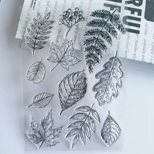 Leaf leaves clear - leaf,