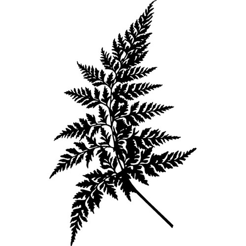Fern leaf unmounted rubber - leaf',