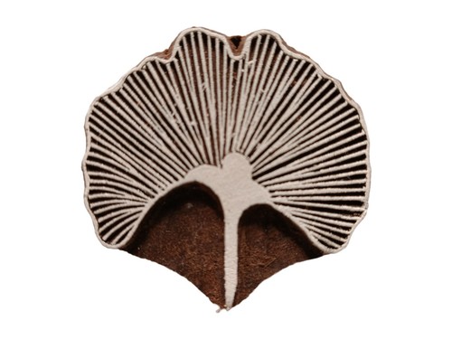 Ginkgo leaf wooden stamp x - stamp,