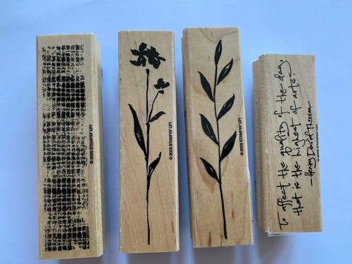 Stampin rubber stamp - up!,