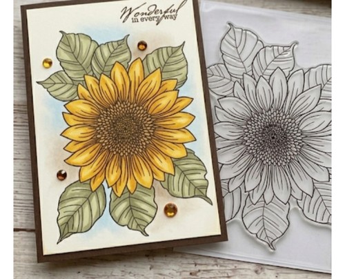 Clear stamp 4 - , 6"