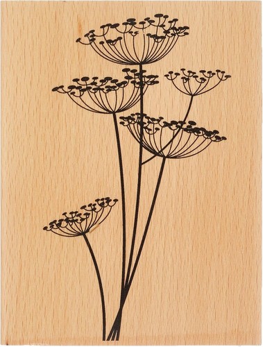 Cow parsley wood mounted - parsley,