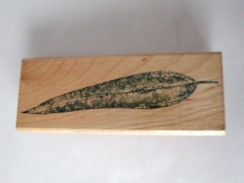 Rubber stampede eucalyptus - rubber,