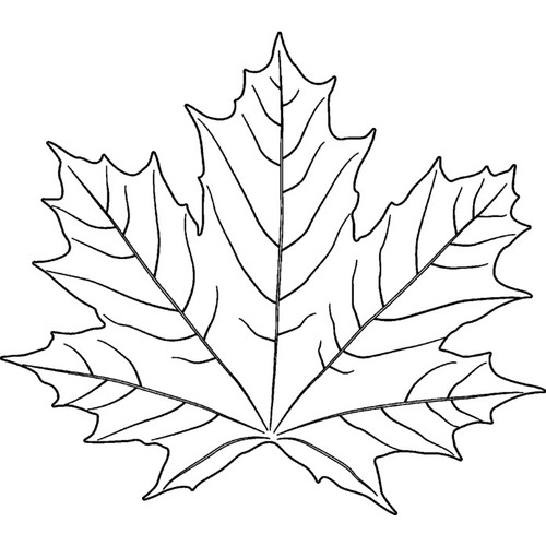 Maple leaf unmounted rubber - 'maple, leaf'