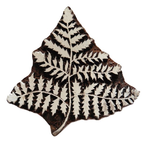 Forest fern leaf - forest,