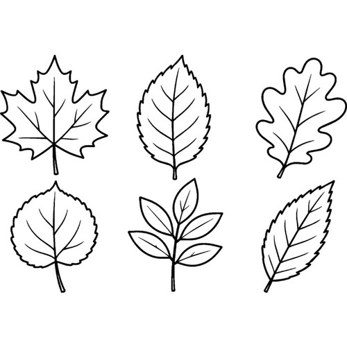 Leaves outline unmounted - 'leaves,