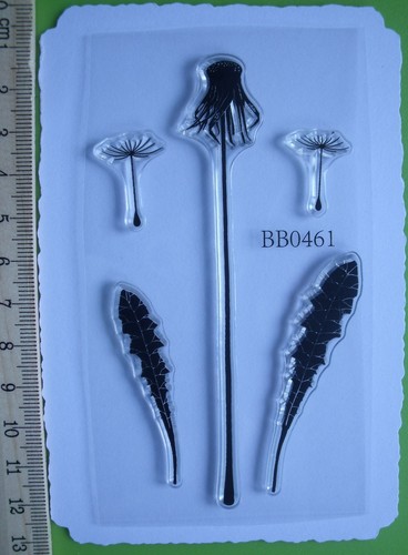 Dandelion stem seeds - dandelion,