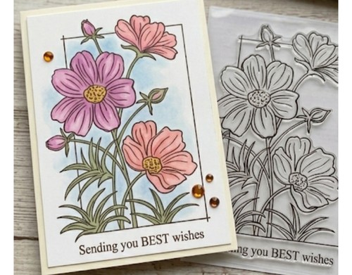 Clear stamp cosmos - stamp, 4"